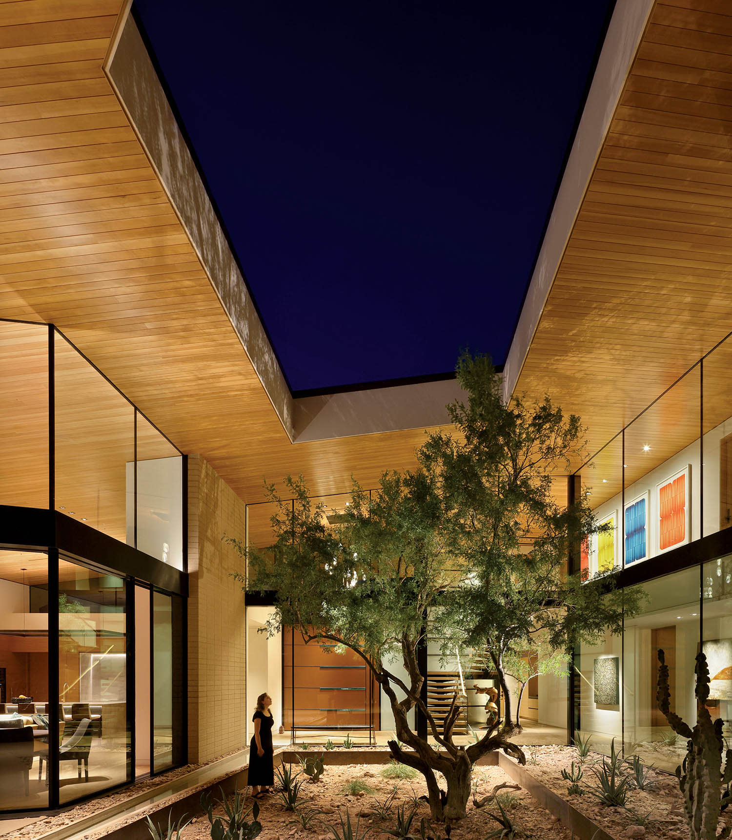 Modern interior courtyard at night, featuring a central tree, desert landscaping, glass walls, and a wooden ceiling. A person admires the serene view.